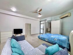 Studios @ Marne (D8), Apartment #449910511